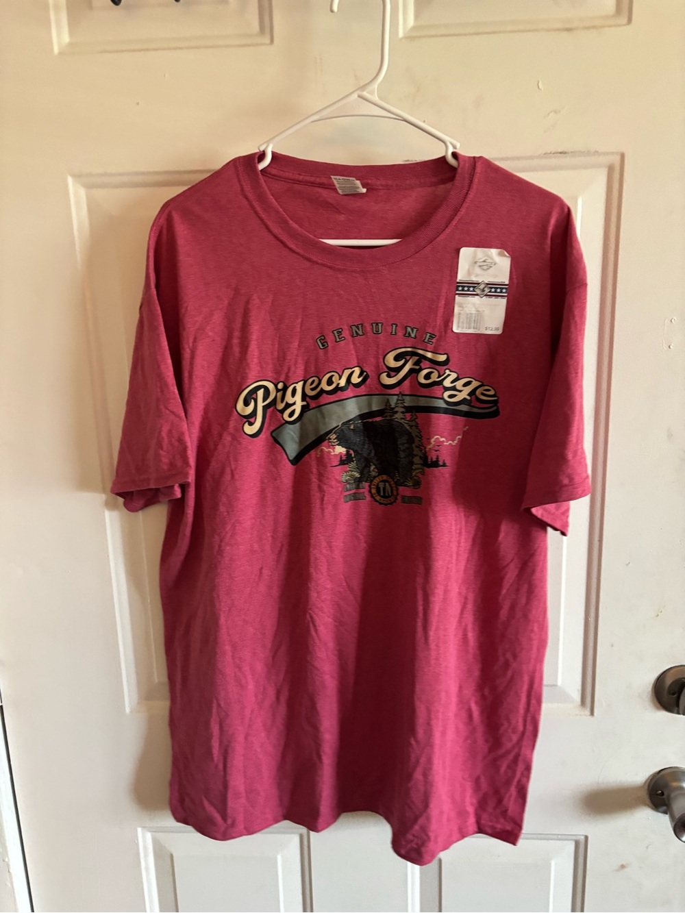 Fruit of the Loom Pink Pigeon Forge Graphic Tee